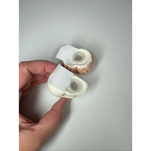 Ceramic Skull & Brain Set salt & Pepper nwt - Picture 3 of 5